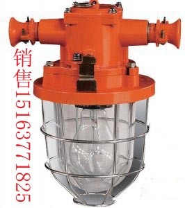 供应DGS60防爆白炽灯